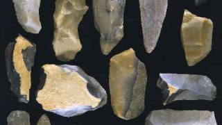 Was human technology superior to neanderthals’?