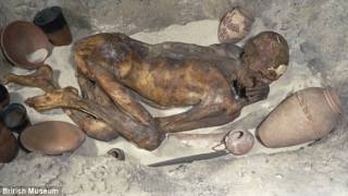 Who stabbed him in the back? Scan reveals 5,500-year-old mummy murder mystery