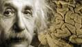 Einstein’s Brain Reveals Clues to Genius - "Unique Anatomy"