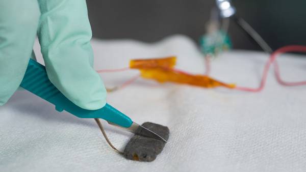 New Skin? A Plastic That Heals Itself, Conducts Electricity, and is Sensitive To Touch