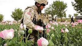 Pentagon Outsources War on Drugs to Blackwater