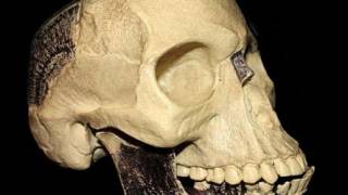 New study promises to lay mystery of Piltdown man to rest