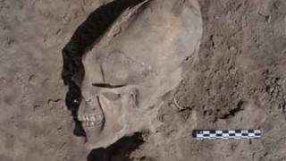 Astounding Discovery In Mexico: 13 Individuals With Elongated Skulls Stun Archaeologists, Never Seen Before In Region