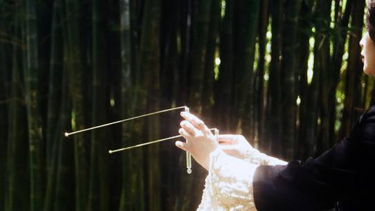 Secret Dowsers and Government