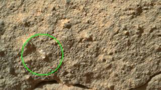 Odd Mars ’Flower’ & Snakelike Formation Spied By NASA’s Curiosity Rover