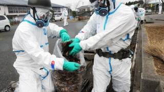 Radioactive Waste Dumped Into Rivers During Fukushima Clean Up