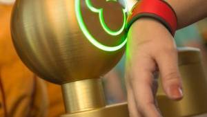 A Whole New World (Order): Disney’s RFID Tracking Bracelets