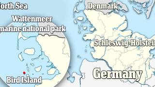 Extraordinary: New island rises from the sea off German coast