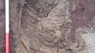 Storms Reveal Iron Age Skeleton