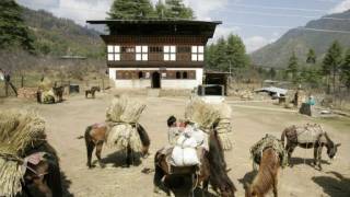 Bhutan Aims to Be The First Fully Organic Nation