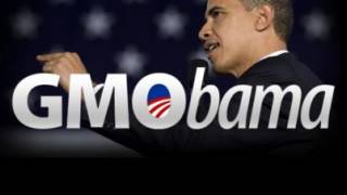 Furor Growing Against Obama Over ’Monsanto Protection Act’