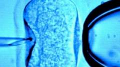 Harvesting eggs from aborted babies to create IVF babies? Ten years later the story still horrifies