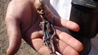 Background of UFO documentary’s humanoid alien revealed