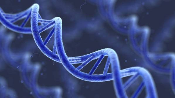 Can Human Genes Be Patented?