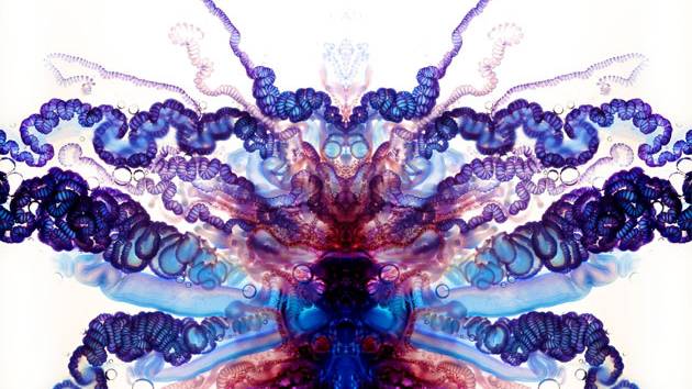 Psychedelic Portuguese Man-of-War