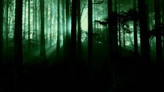 Cattle Mutilations in the UK?