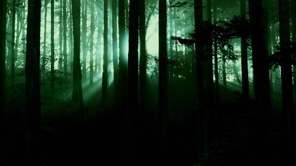 Cattle Mutilations in the UK?