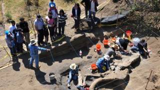 10,000-year-old Mammoth skeleton Uncovered Near Mexico City