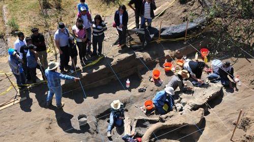 10,000-year-old Mammoth skeleton Uncovered Near Mexico City