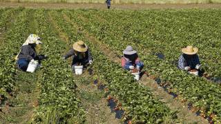 Migrant Workers Gunned Down in Greece