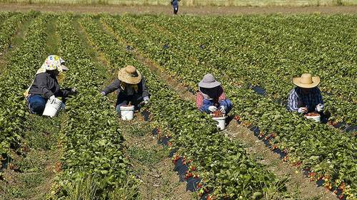 Migrant Workers Gunned Down in Greece