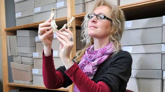 The Hangman’s Tale: Archaeologists Dig into History of Execution