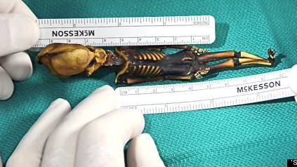 REAL: DNA Tests Prove Six-Inch Creature is Humanoid