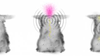 Scientists detect dark lightning linked to visible lightning