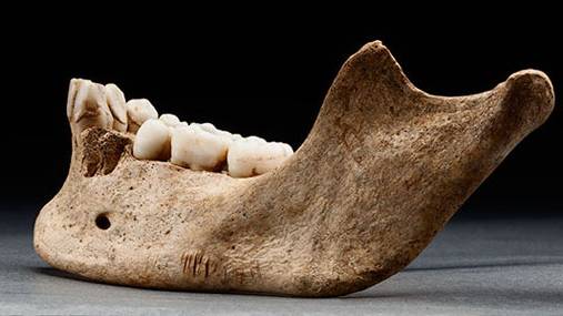 Starving Settlers in Jamestown Colony Resorted to Cannibalism