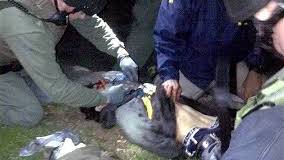 Report: Dzhokhar Tsarnaev’s Repeated Requests for a Lawyer Were Ignored