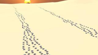 Stunning Astronomical Alignment Found at Peru Pyramid