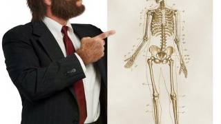 Who’re You Calling a Neanderthal?