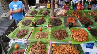 UN "Food Shortage" Solution? Eat Bugs