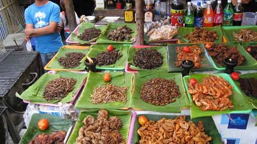 UN "Food Shortage" Solution? Eat Bugs