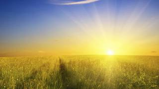 Sunlight Could Reduce Death Rate From All Causes