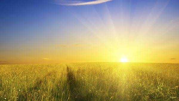 Sunlight Could Reduce Death Rate From All Causes