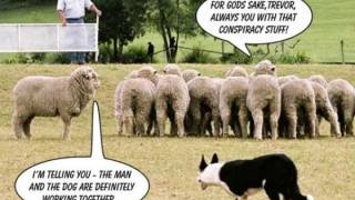 Mainstream Media Tactic: Label All Opposing Views As ‘Conspiracy Theories’