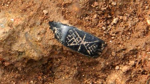 Another Car Park, Another Amazing Discovery