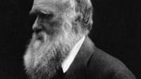 Charles Darwin Wrong On Theory of Evolution for Coral Atolls