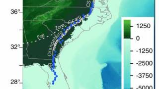 Earth’s Mantle Affects Sea Level Rise Estimates