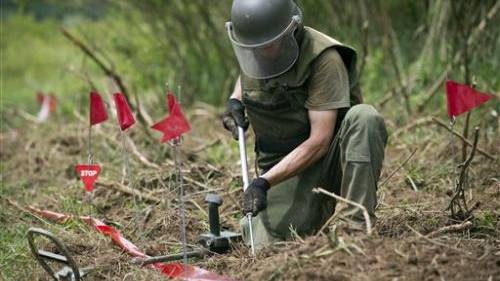 Honeybees trained in Croatia to find land mines