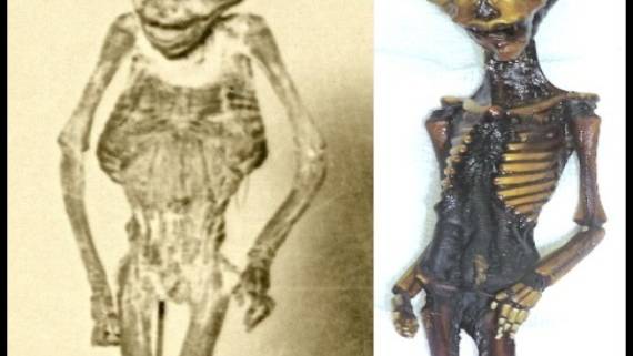 The Ata ’Alien’ Humanoid May Have An Earthling Cousin