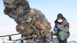 Woolly mammoth with flowing blood found for first time, Russian scientists claim