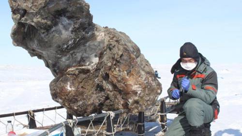 Woolly mammoth with flowing blood found for first time, Russian scientists claim