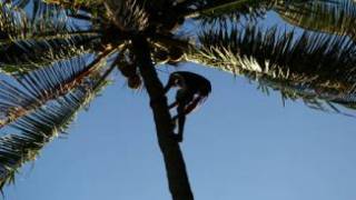 1 in 13 people have bendy chimp-like feet