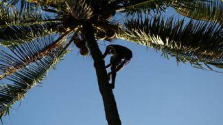 1 in 13 people have bendy chimp-like feet