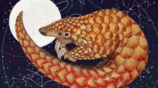 Physics’s Pangolin: Stubborn Paradoxes in Theoretical Physics