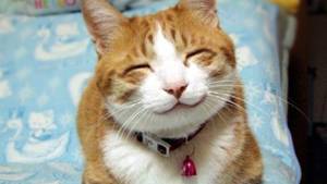 6 Practical Ways To Be Truly Happy