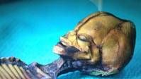 Atacama Humanoid: Stanford-Geneticist Says Specimen "not worth scrutiny"