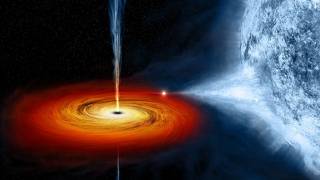 Wormhole entanglement solves black hole paradox